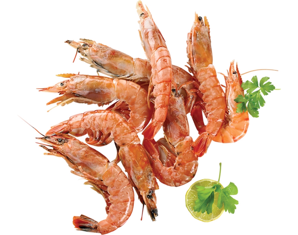 CAMARÃO 30/40 AV MAR IBERICA