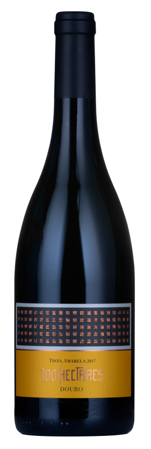 V TINTO 100HECTARES TINTA AMARELA 75CL DOURO