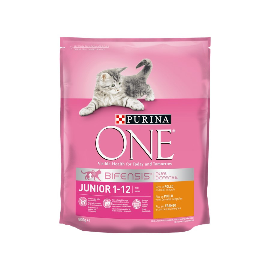 ALIM GATO PURINA ONE FRANGO JUNIOR 800GR