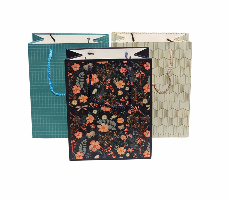SACO DE PAPEL P/ PRENDA 23X18X10 26914